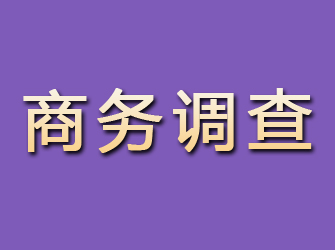 松滋商务调查